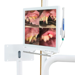 MONITOR und Intraorale Kamera