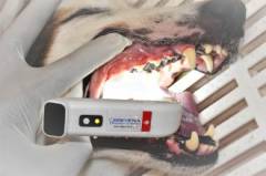 image-slider-with-thumbnail5.jpeg